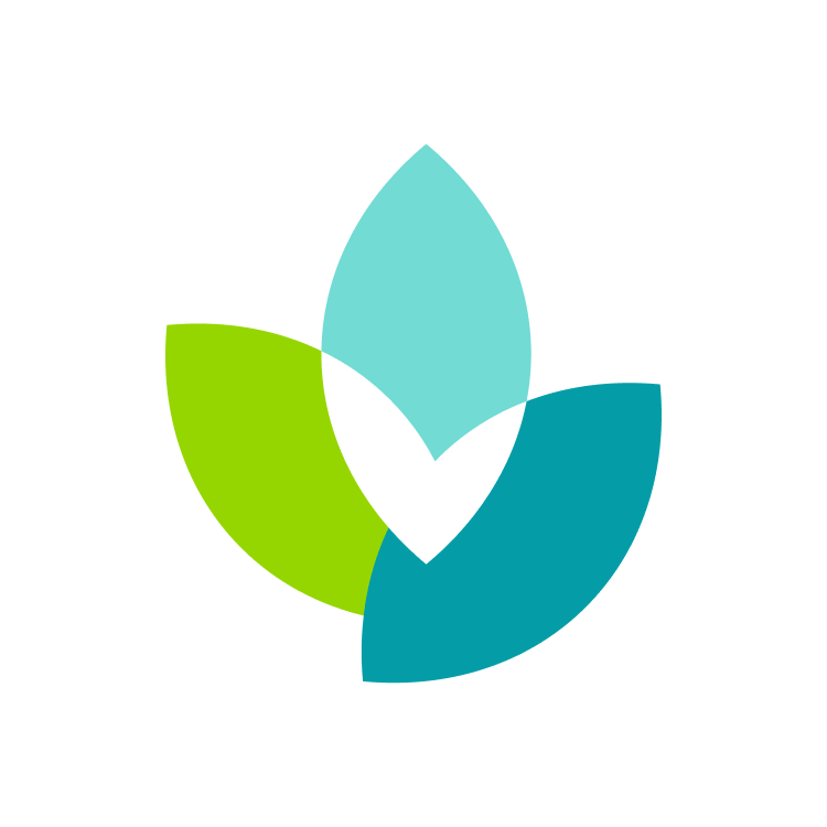 CVMI_Logomark_Color